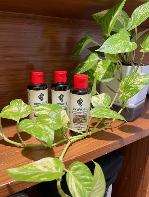 Urwah's Fennel Seed Hair Oil - 100% Organic